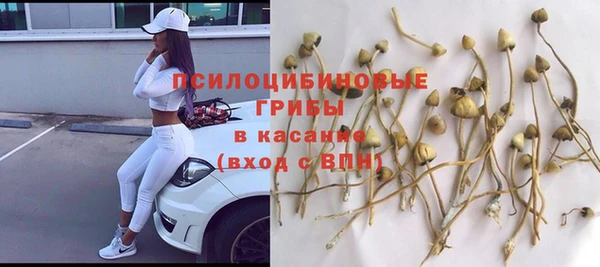 молекула духа Алексин