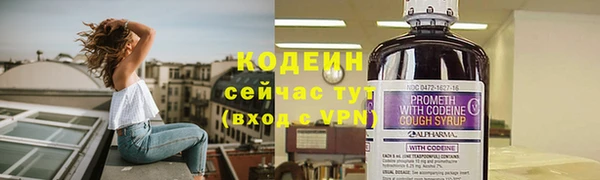 молекула духа Алексин