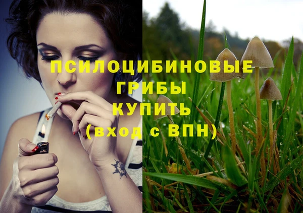 прущие крисы Алзамай
