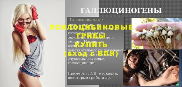ГАЛЛЮЦИНОГЕННЫЕ ГРИБЫ Алексеевка