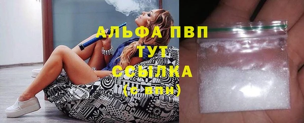 молекула духа Алексин
