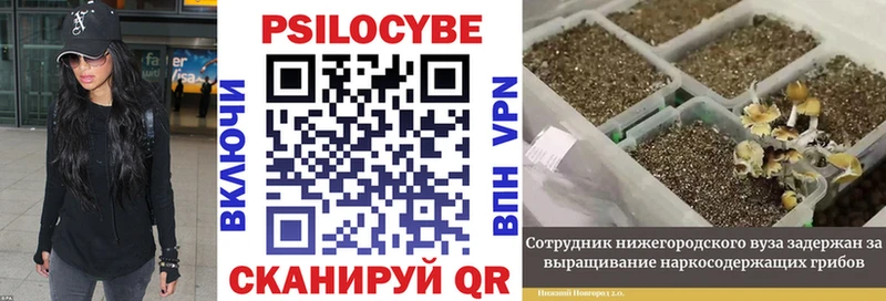 Галлюциногенные грибы ЛСД Сосенский